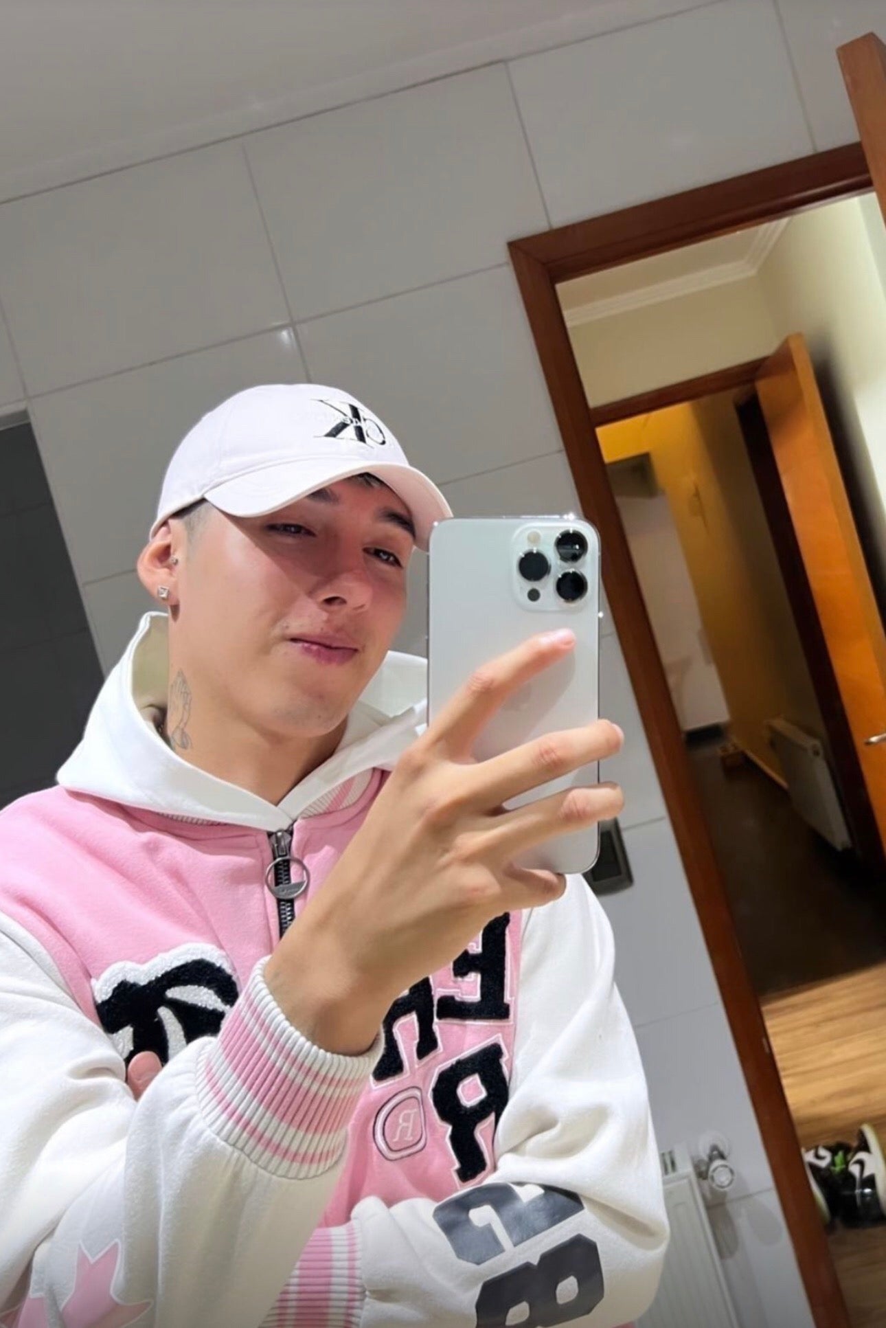 Diamond Painting modelo 311