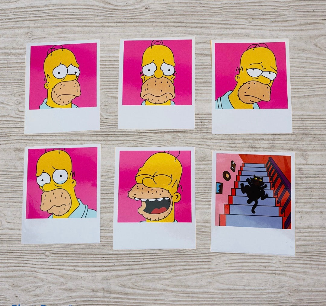 Polaroid Homero